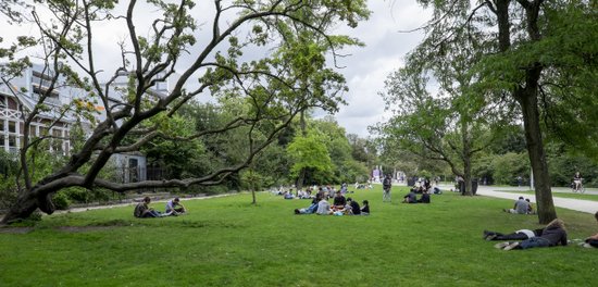 Amsterdam_Vondelpark