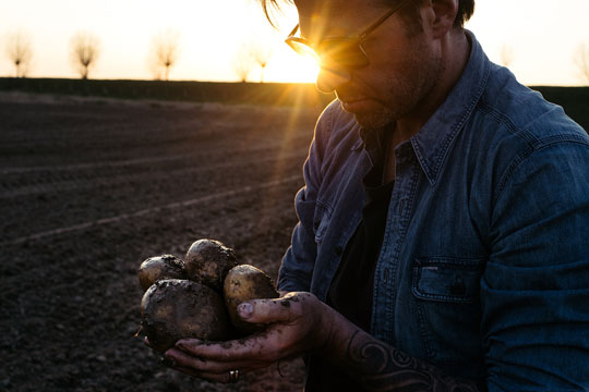 Amsterdam_frites-atelier-sergio herman