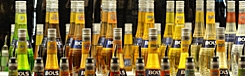 House of Bols